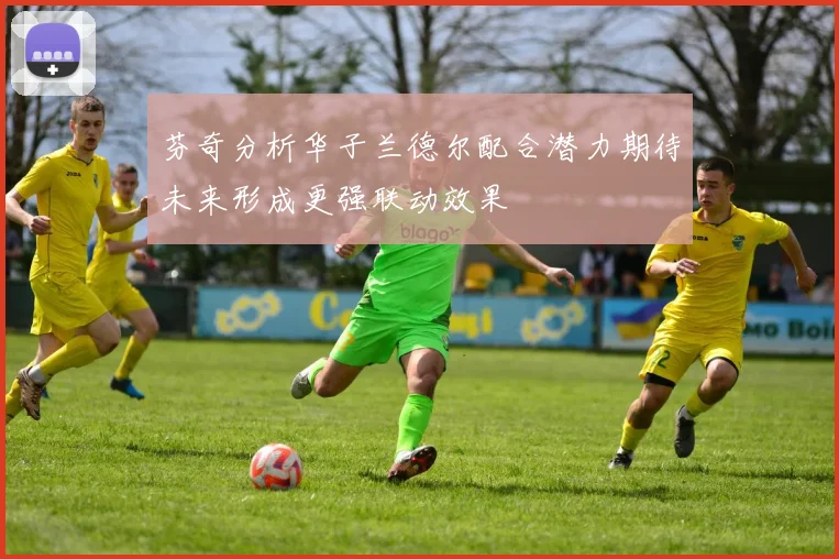 芬奇分析华子兰德尔配合潜力期待未来形成更强联动效果