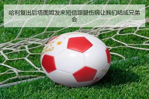 哈利复出后塔图姆发来短信跟腱伤病让我们结成兄弟会（ng28）